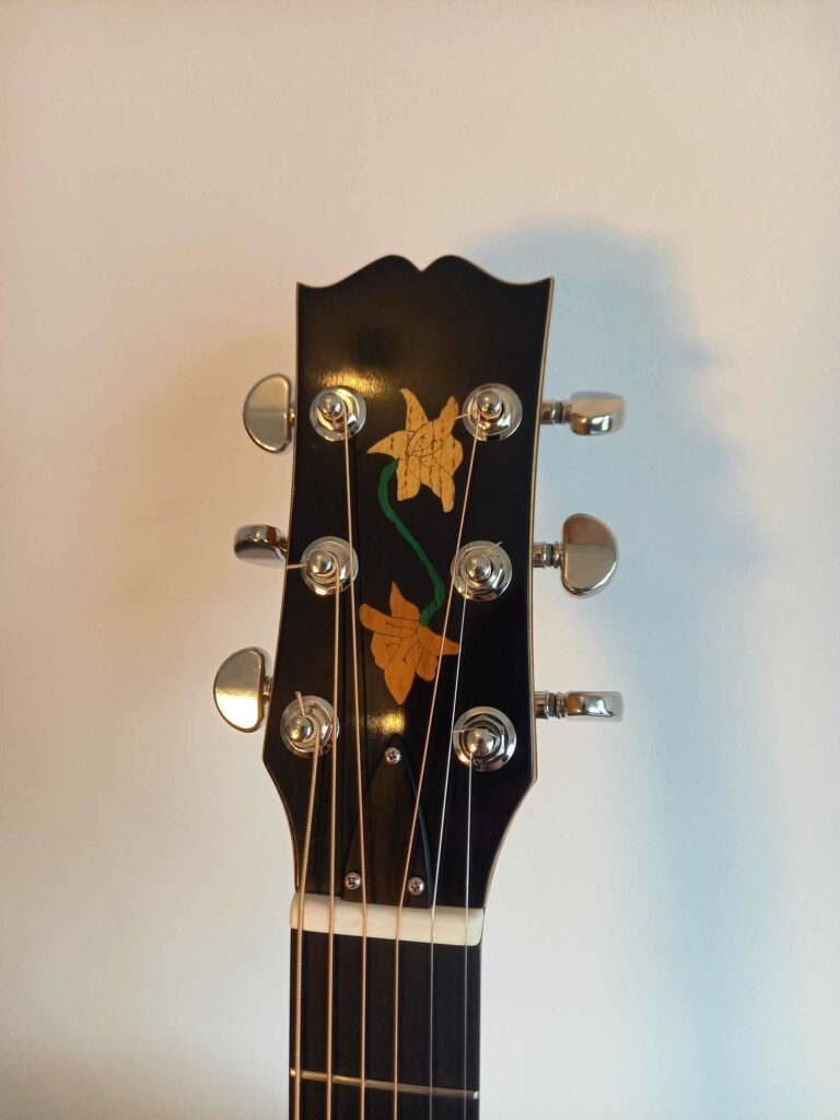 Guitare n°12 Folk 2025