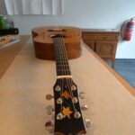 Guitare n°12 Folk 2025