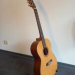 Guitare n°12 Folk 2025