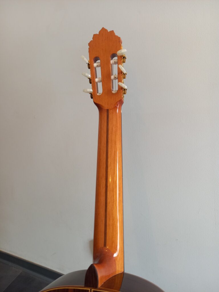 Guitare classique Joan Cashimira