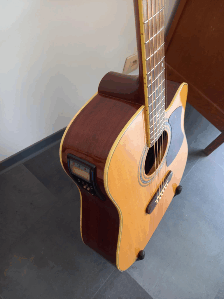Guitare Folk Tacoma