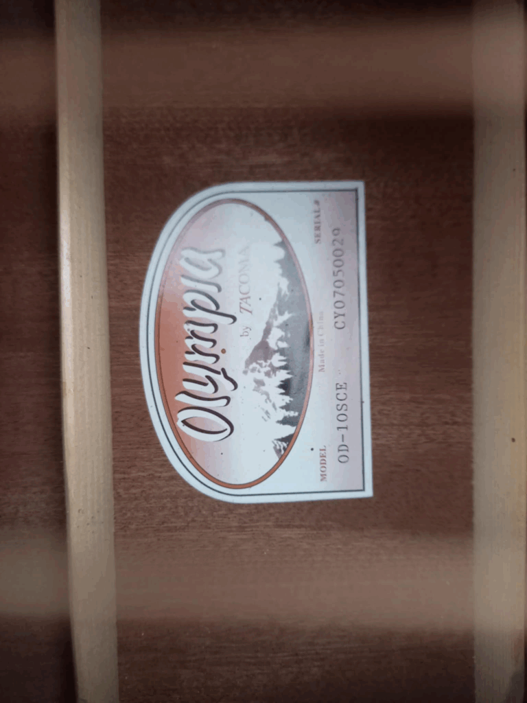 Guitare Folk Tacoma
