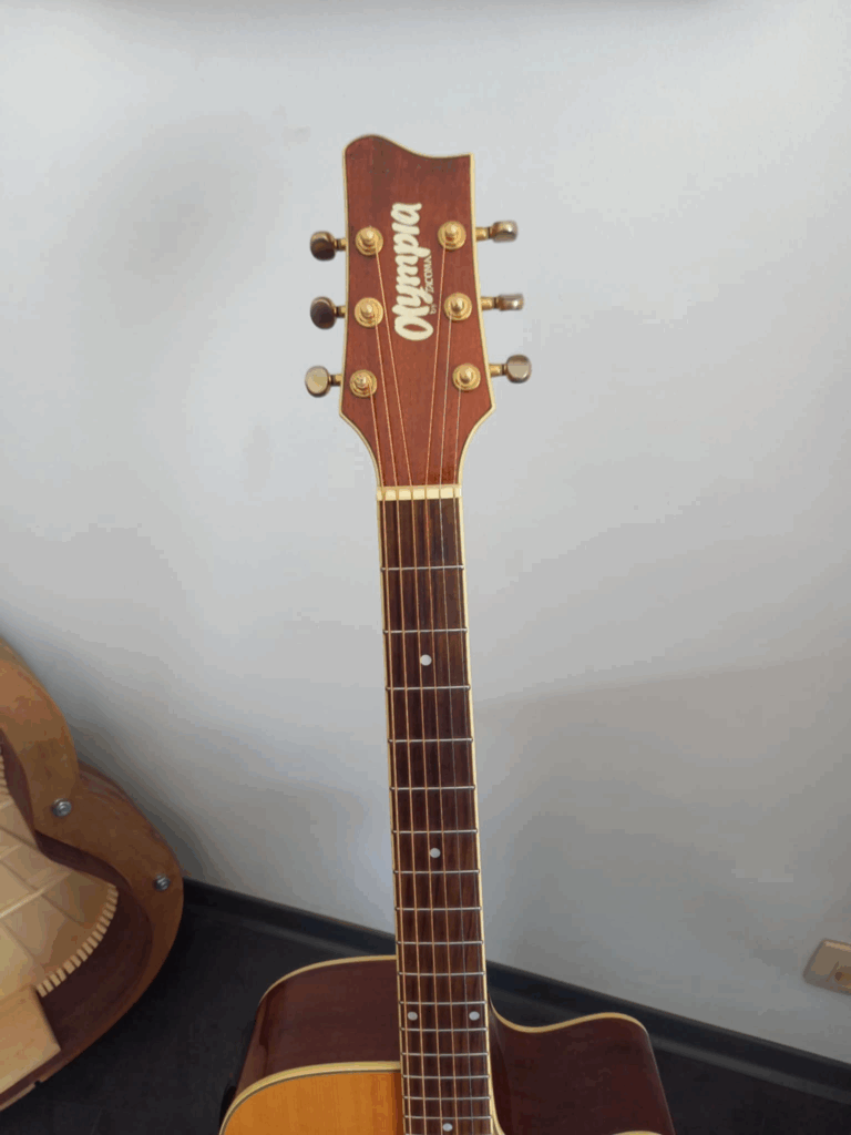Guitare Folk Tacoma