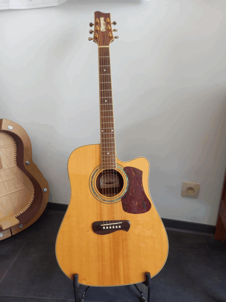 Guitare Folk Tacoma