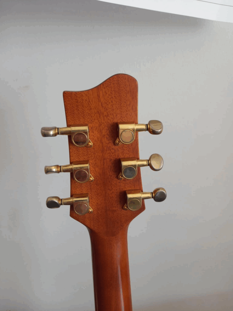 Guitare Folk Tacoma