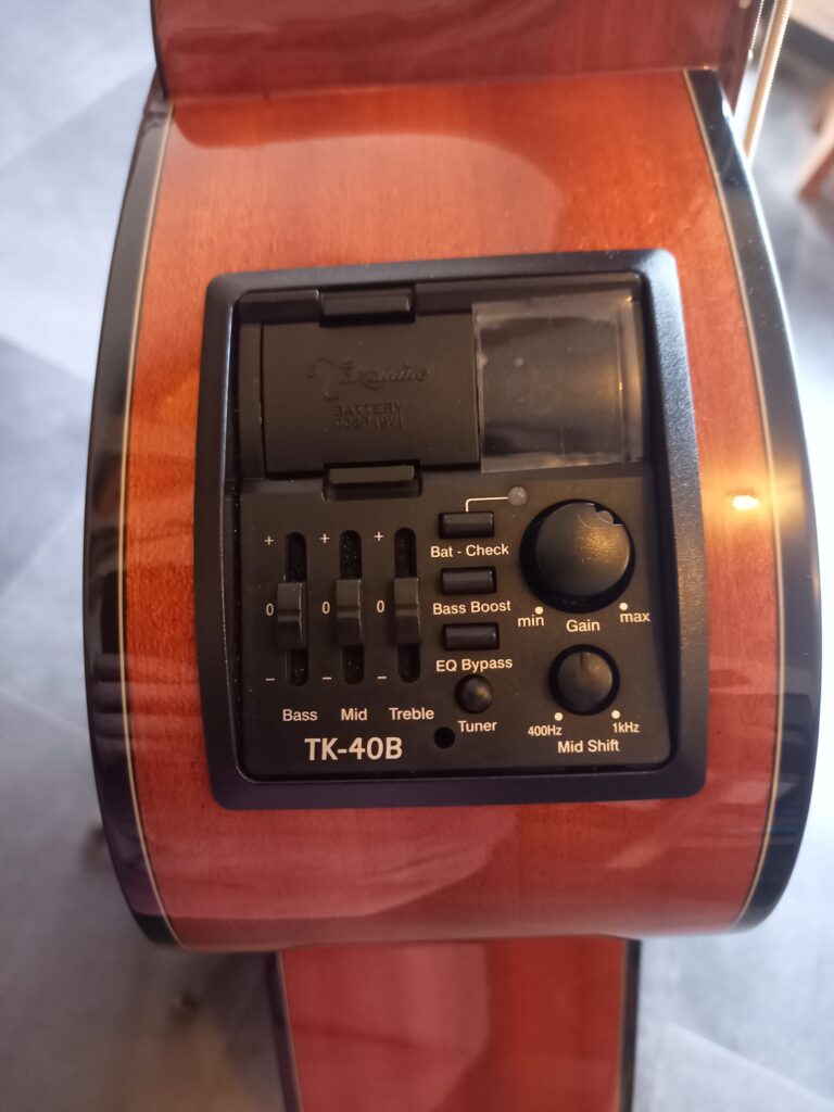 Basse acoustique Takamine
