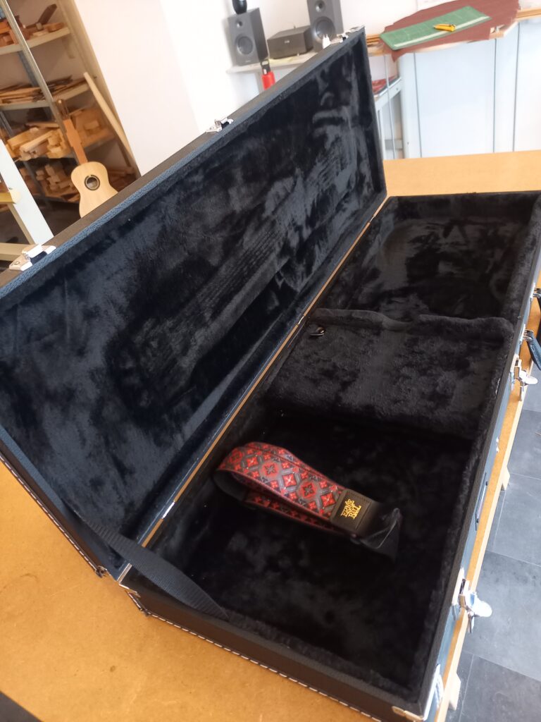 Guitare électrique Dany