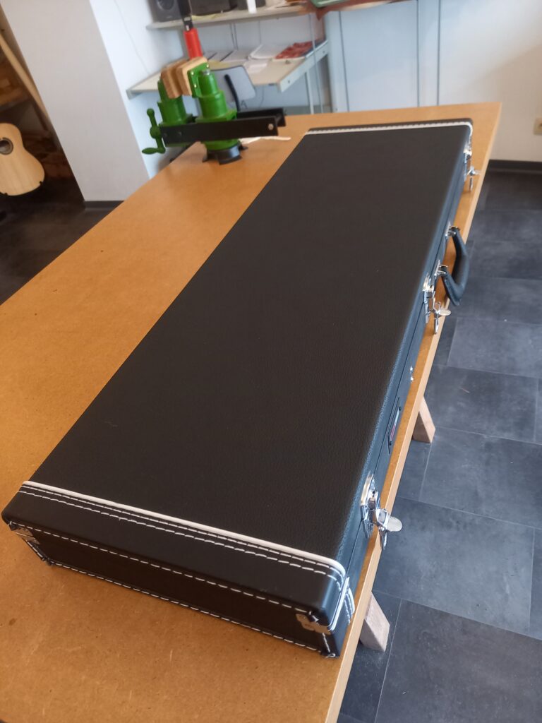 Guitare électrique Dany