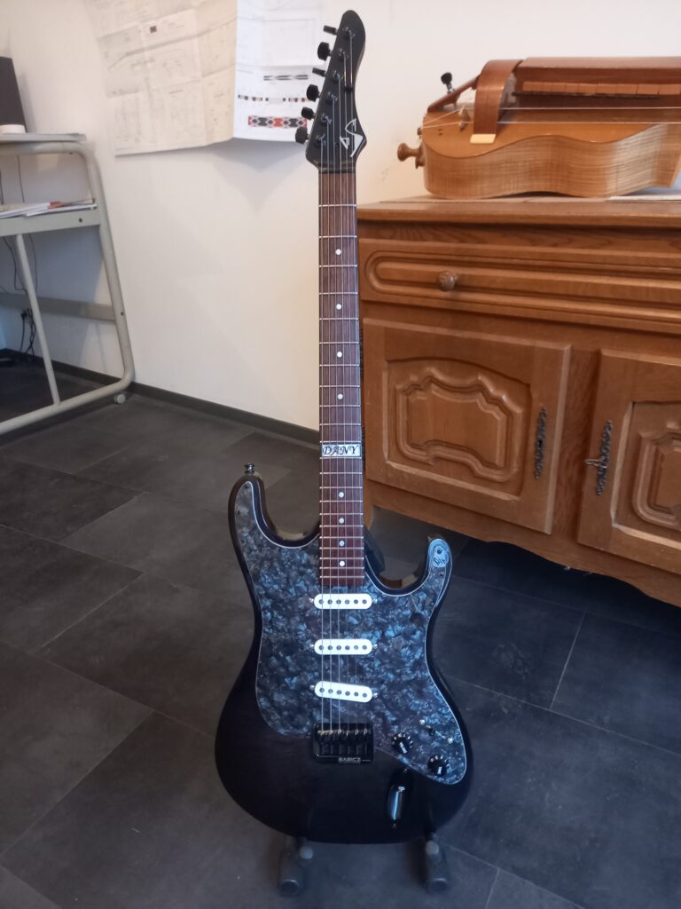 Guitare électrique Dany