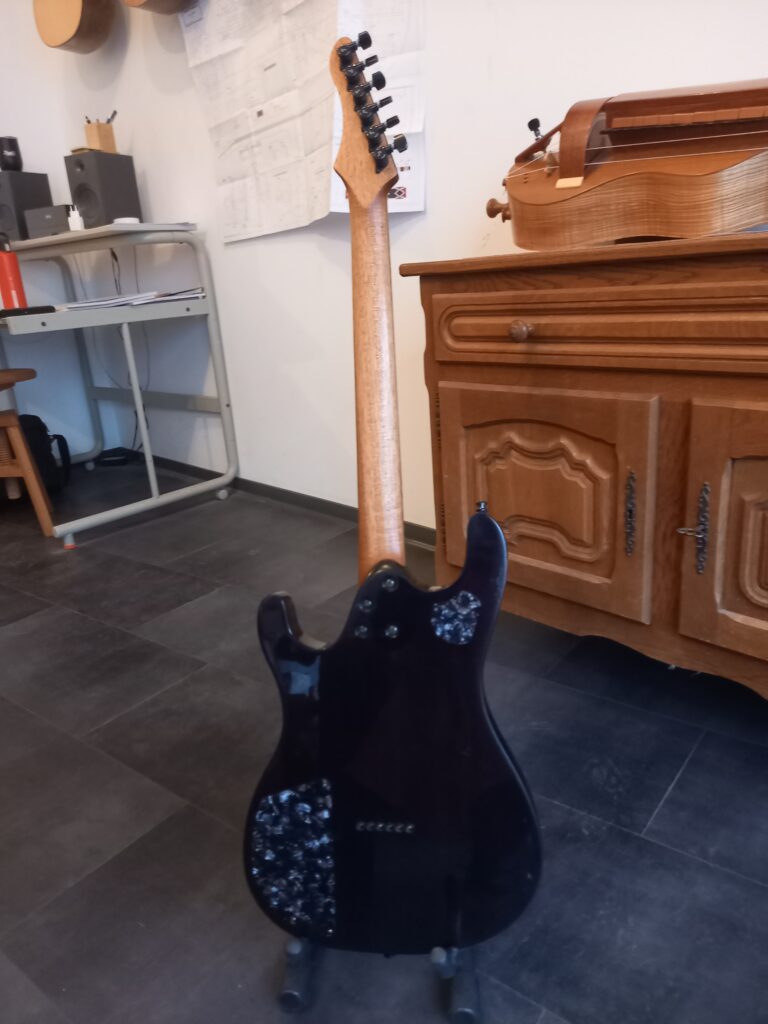 Guitare électrique Dany