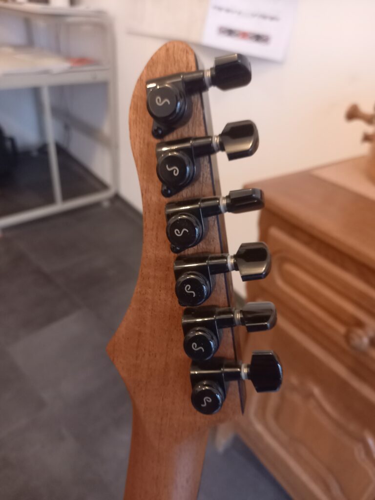 Guitare électrique Dany