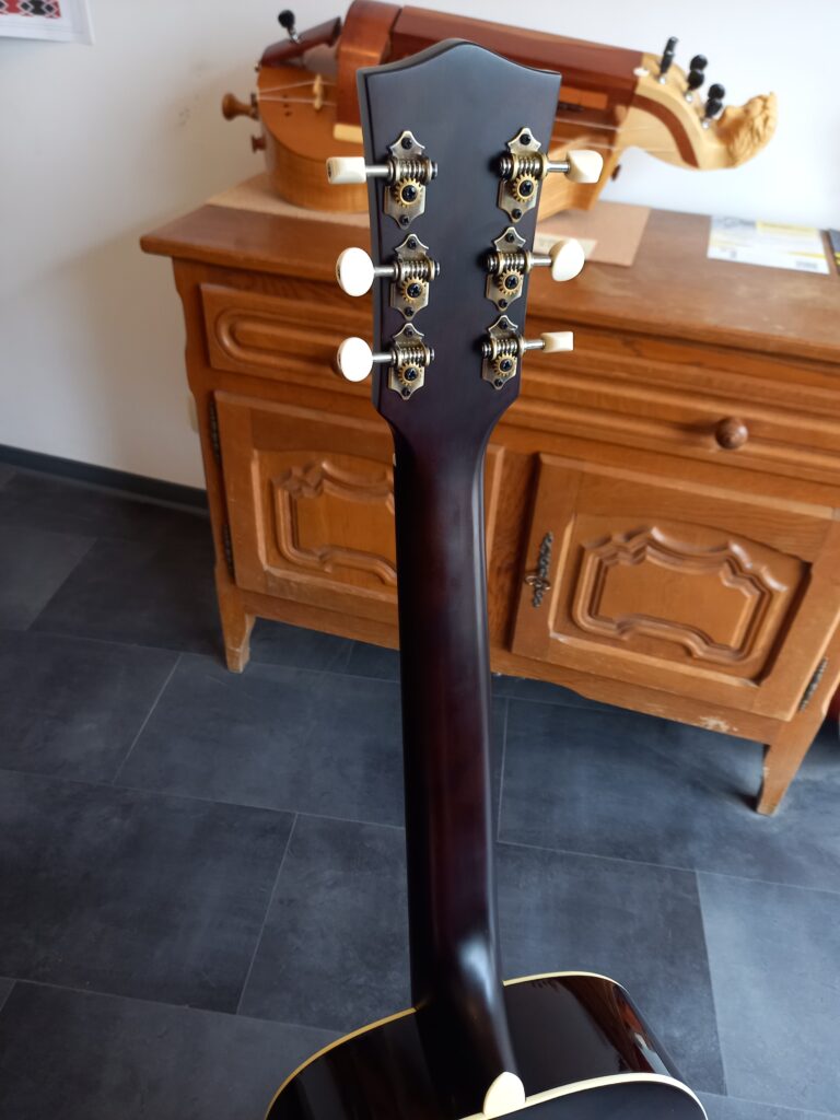 Guitare electro acoustique SigmaGuitars