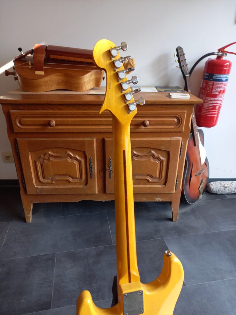 Guitare electrique DooDad de 2015