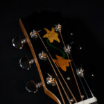 Guitare n°12 Folk 2025