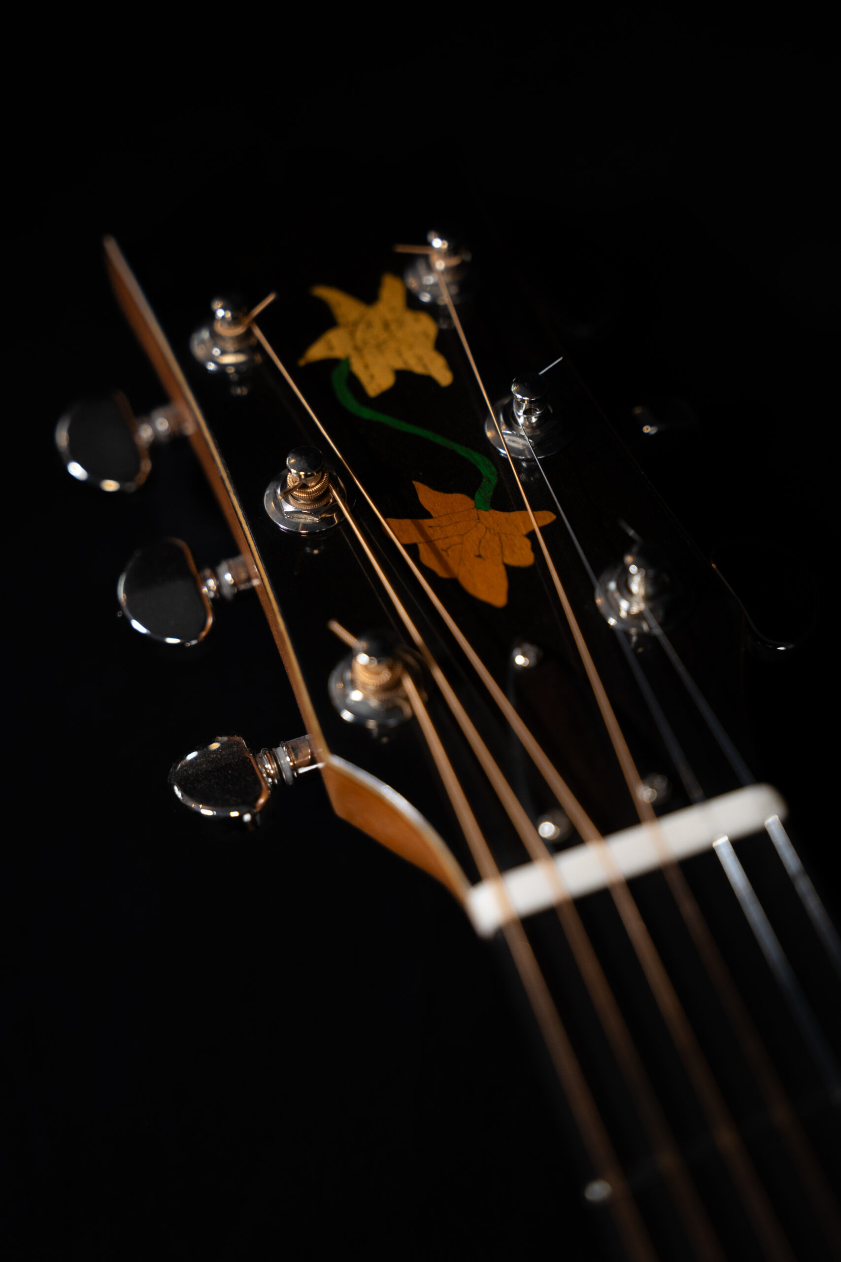 Guitare n°12 Folk 2025