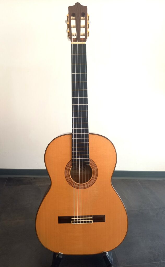 Guitare classique Michael Wichmann de 2005